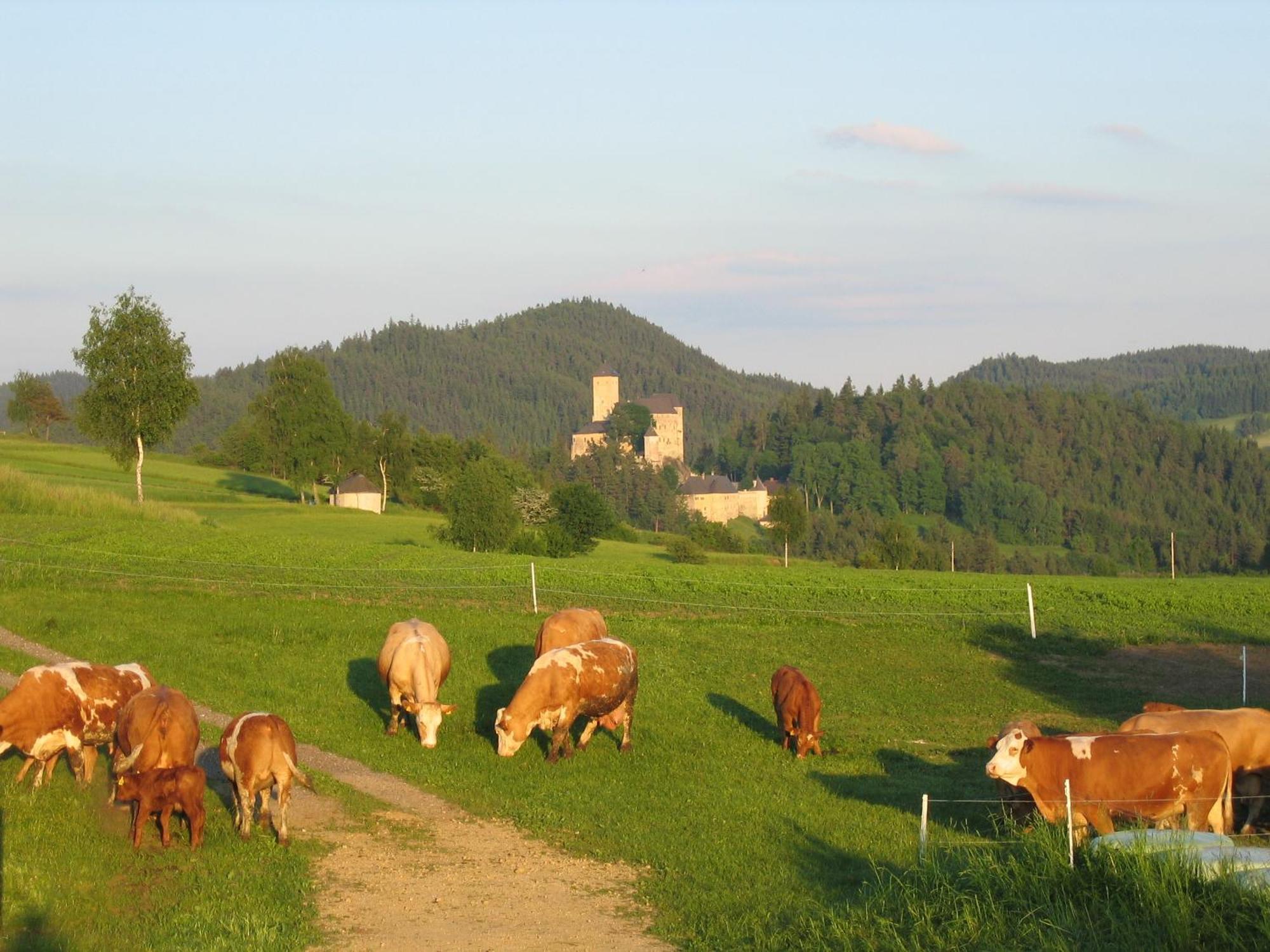 Ferienhof Stanzl Rappottenstein Esterno foto