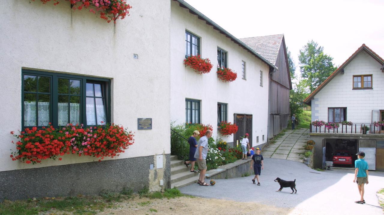 Ferienhof Stanzl Rappottenstein Esterno foto