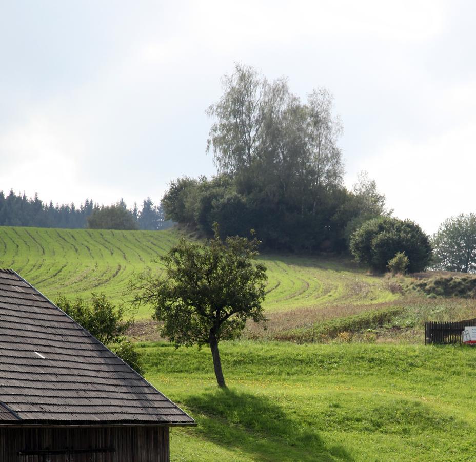 Ferienhof Stanzl Rappottenstein Esterno foto