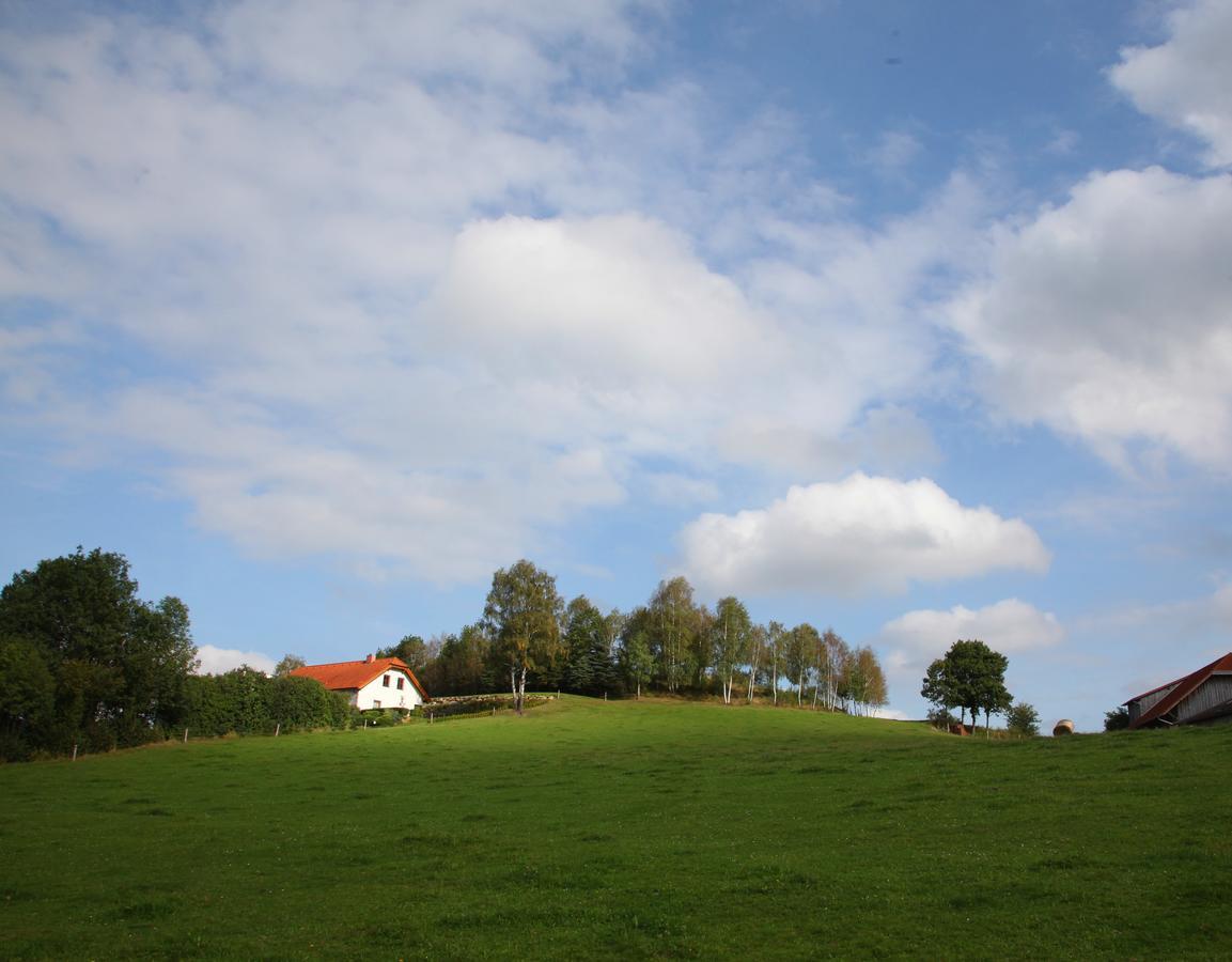 Ferienhof Stanzl Rappottenstein Esterno foto