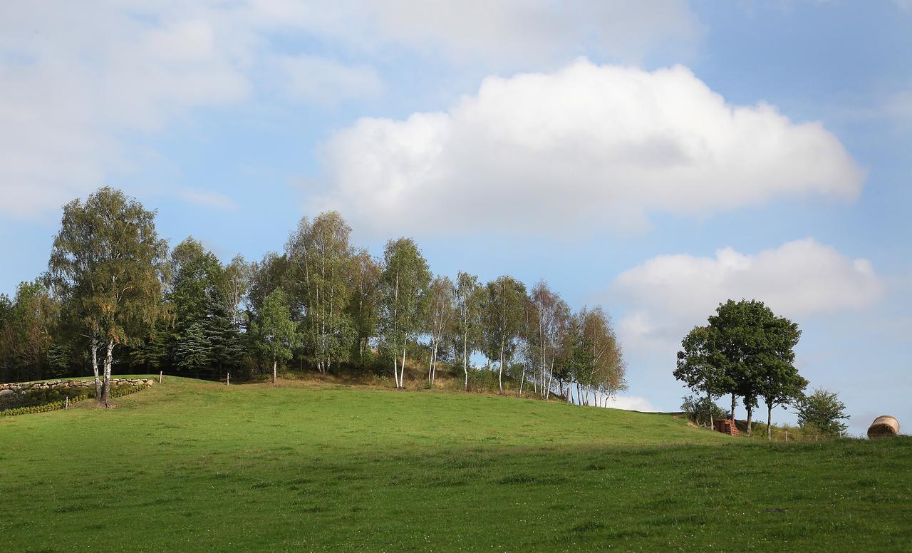 Ferienhof Stanzl Rappottenstein Esterno foto