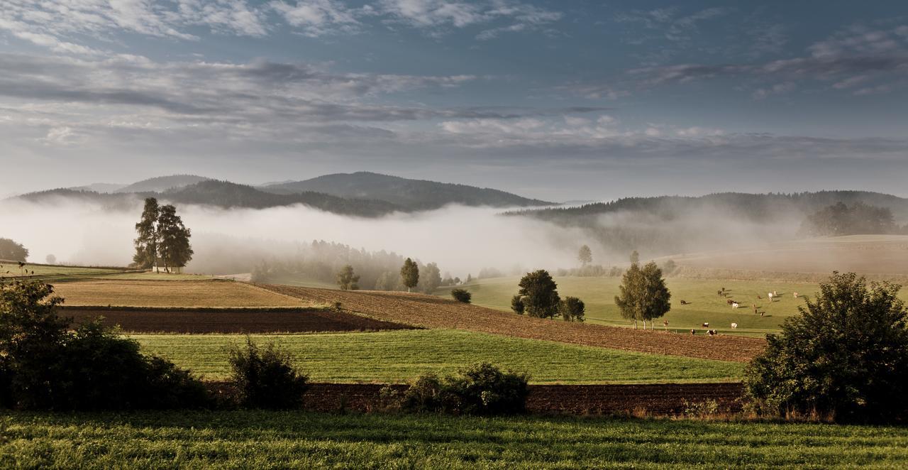 Ferienhof Stanzl Rappottenstein Esterno foto